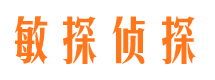 吐鲁番市调查公司